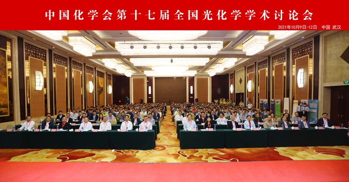 中國化學會第十七屆全國光化學學術討論會